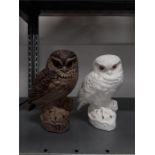 A brown Poole Pottery owl together with a white Poole Pottery owl with golden eyes.