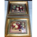 Two framed hand painted still life of fruit painted on china by James Skerrett