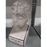 A reproduction Fowlers Phrenology head.