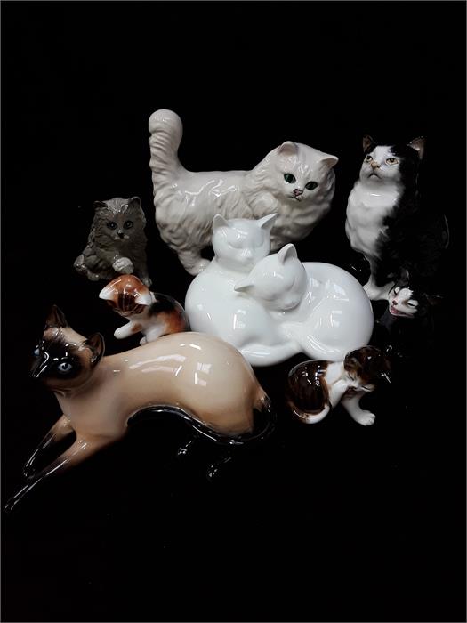 A small quantity of Royal Doulton cats including 7582, 0953, Lucky, Bandage, HM 449, ks, sleepy - Image 2 of 2