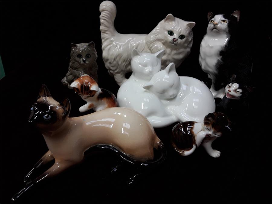 A small quantity of Royal Doulton cats including 7582, 0953, Lucky, Bandage, HM 449, ks, sleepy