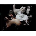 A small quantity of Royal Doulton cats including 7582, 0953, Lucky, Bandage, HM 449, ks, sleepy