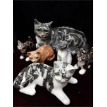 A collection of large Winstanley cats, size 7, four kittens, size 1 with another in gray, tan,and