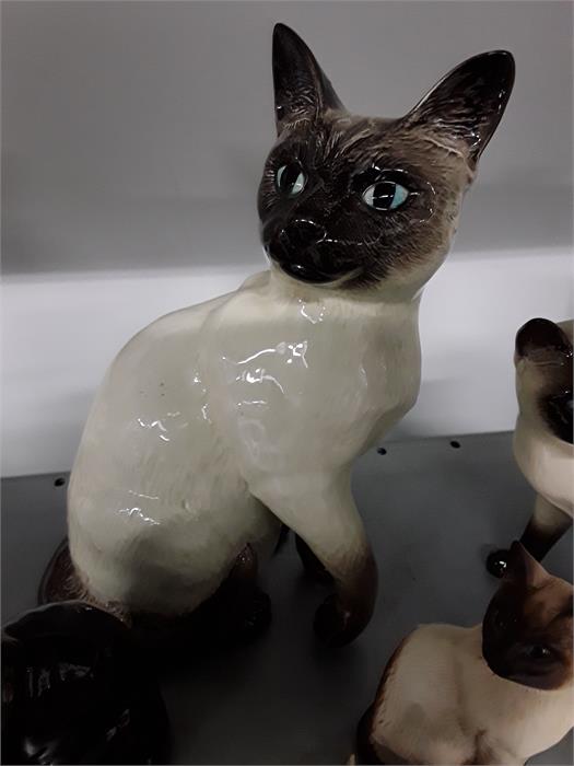 Six Beswick, Doulton Siamese cats. - Image 2 of 3