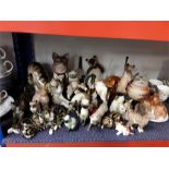 A collection of china cat ornaments.