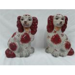 A pair of Staffordshire dogs (af).