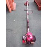 A Kawasaki petrol strimmer.