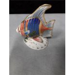 Crown Derby paperweight: Pacific angel fish.