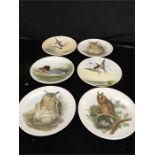 Six 6” Poole Pottery decorative plates with bird designs by John Gould.