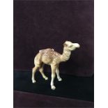 Beswick camel.