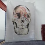 A 3D picture of a skull.