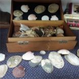 A box of various shell's.