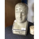 A phrenology bust