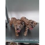 A pair of old French Papier mache and fur covered tiger cub figures.