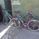 Two Magna women’s bikes with a Universal men’s bike. The Magna’s are 10 speed, one has mudguards.