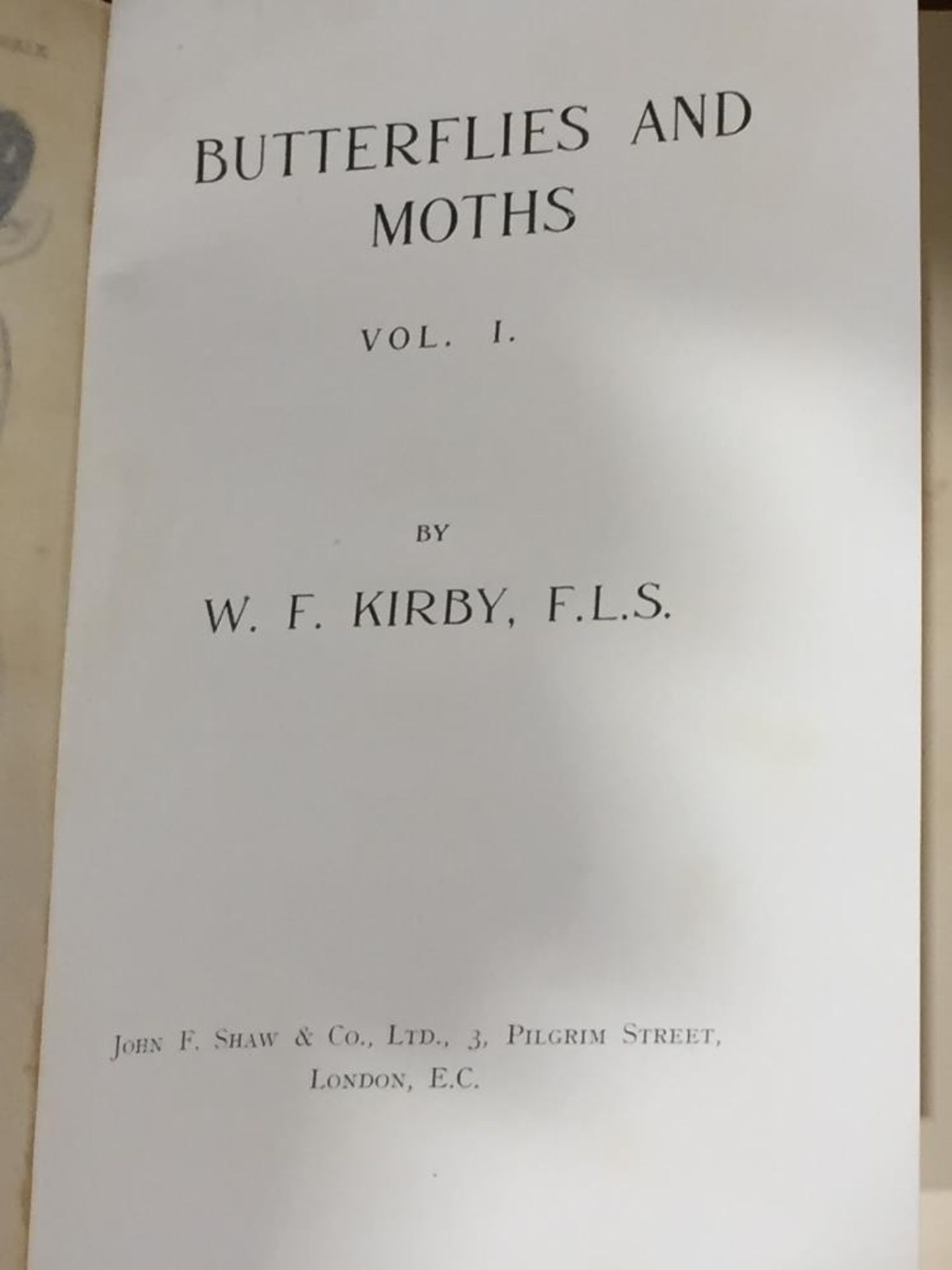 5 VOLS BUTTERFLIES BY W F KIRBY - Image 2 of 3