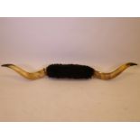 A pair of buffalo horns on a wood mount, 74" long