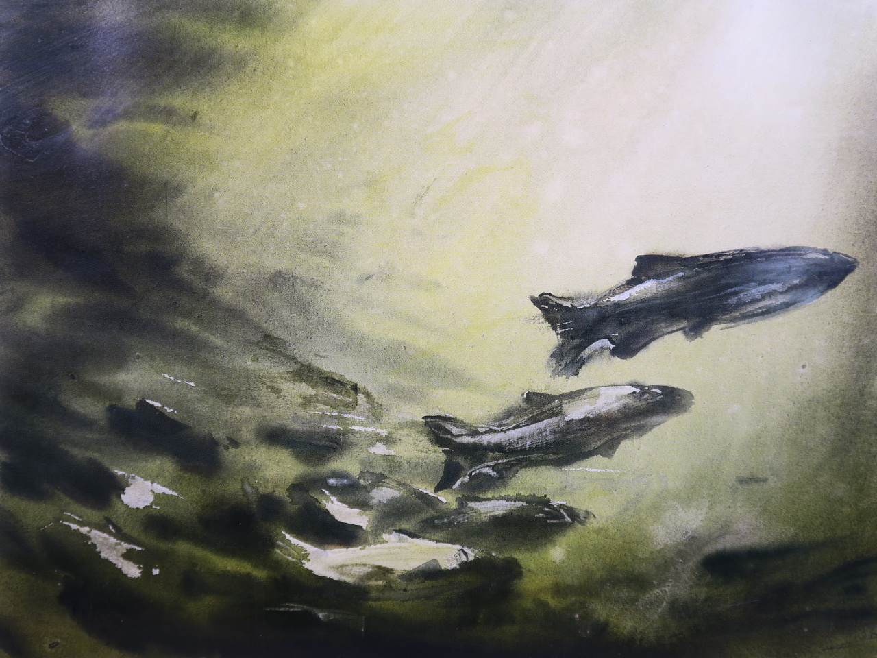 Richard Eliott - limited edition fine art print of leaping salmon, signed in pencil and numbered