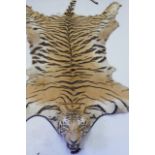 A late C19th/early C20th tiger skin rug with mounted head on a full body with tail, 84" x 112"