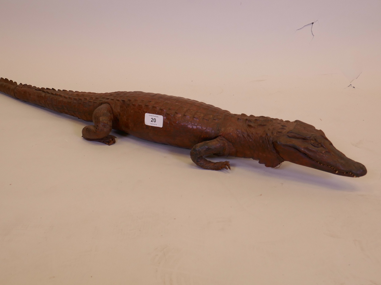 A taxidermy study of a Caiman crocodile, 39" long