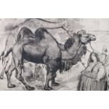 Russell Sidney Reeve, engraving of a camel and giraffe at a circus, 14½" x 11"