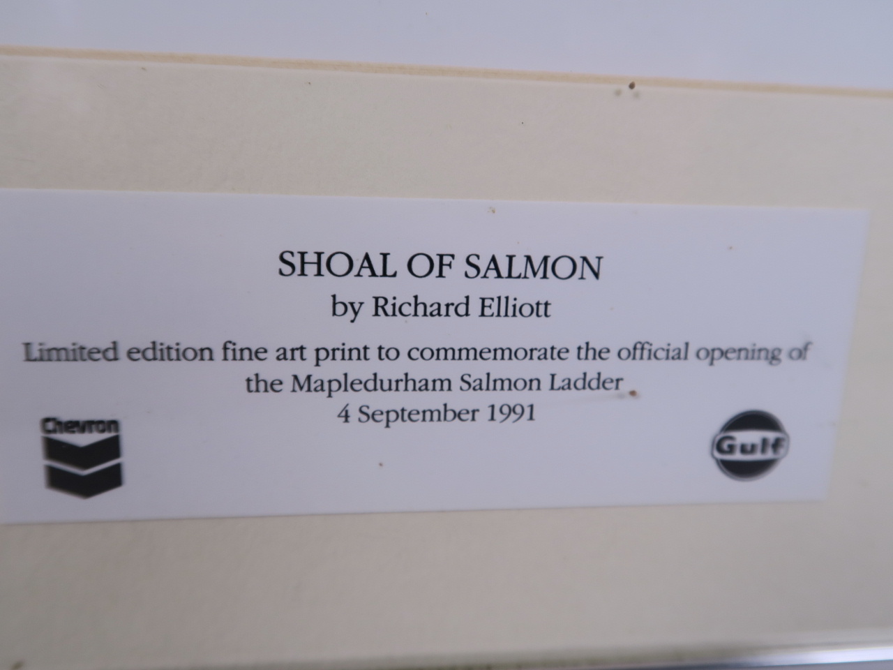 Richard Eliott - limited edition fine art print of leaping salmon, signed in pencil and numbered - Image 2 of 3