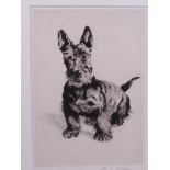 A black and white etching of a Scottie dog, signed in pencil Cecil Aldin, 6" x 8"