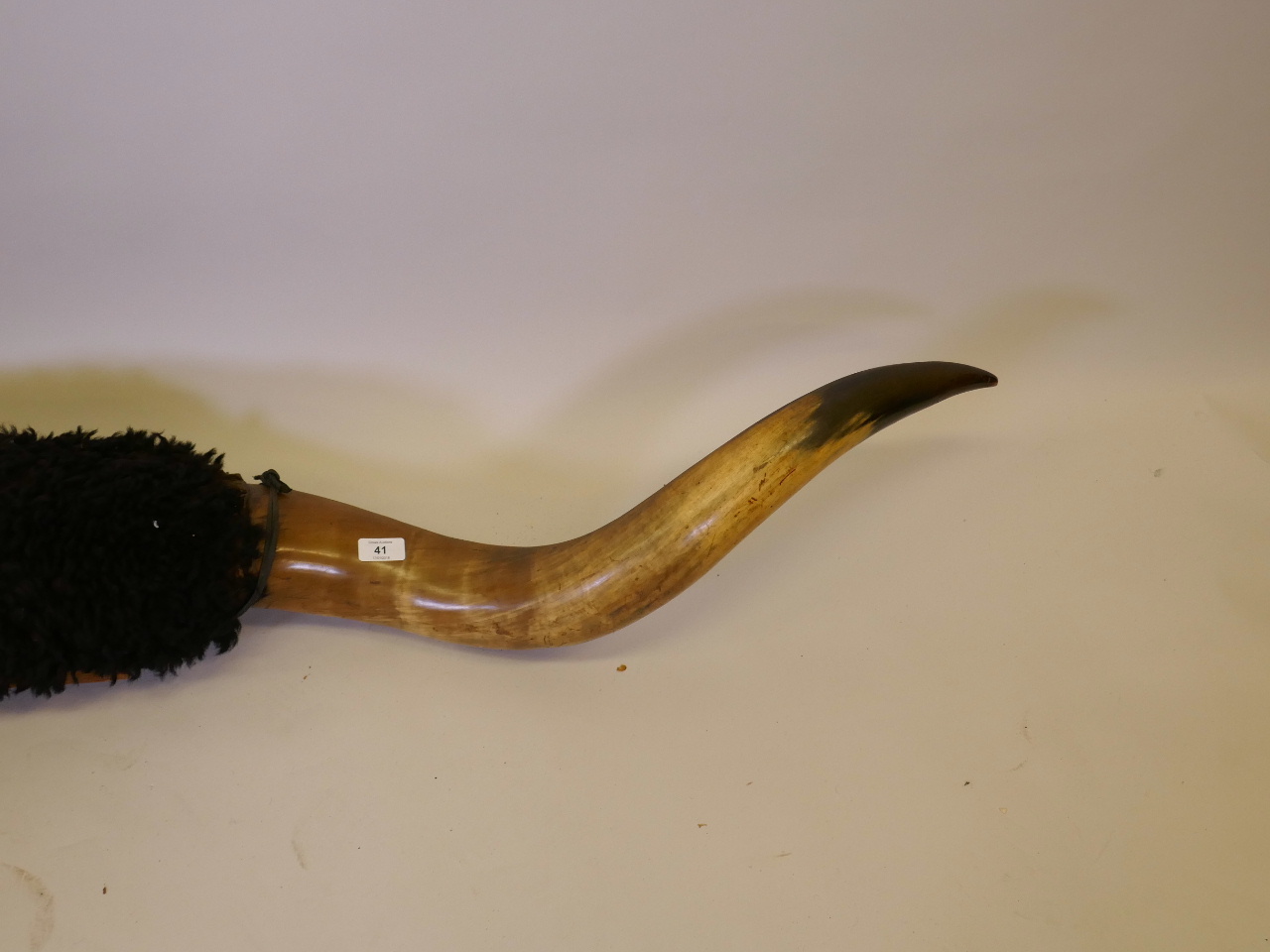 A pair of buffalo horns on a wood mount, 74" long - Image 3 of 4