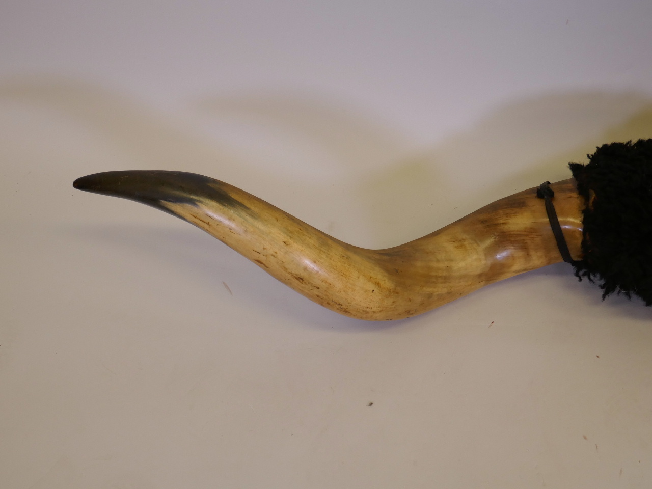 A pair of buffalo horns on a wood mount, 74" long - Image 4 of 4