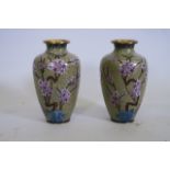 A pair of cloisonné vases with prunus blossom decoration, 8" high