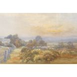 Alfred H. Timpler, C19th watercolour, sheep in a rural landscape, signed and dated 1806, 20" x 13½"