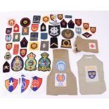 FOREIGN MILTARY BADGES