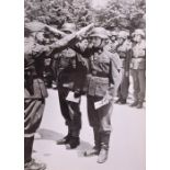 Selection of WW2 German Waffen-SS and Foreign Volunteers Photographs