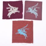 3x Variations of Airborne Pegasus Formation Signs