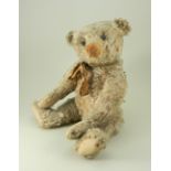 Rare white mohair Steiff Teddy bear, circa 1909,