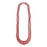 Necklace in yellow gold and red coral