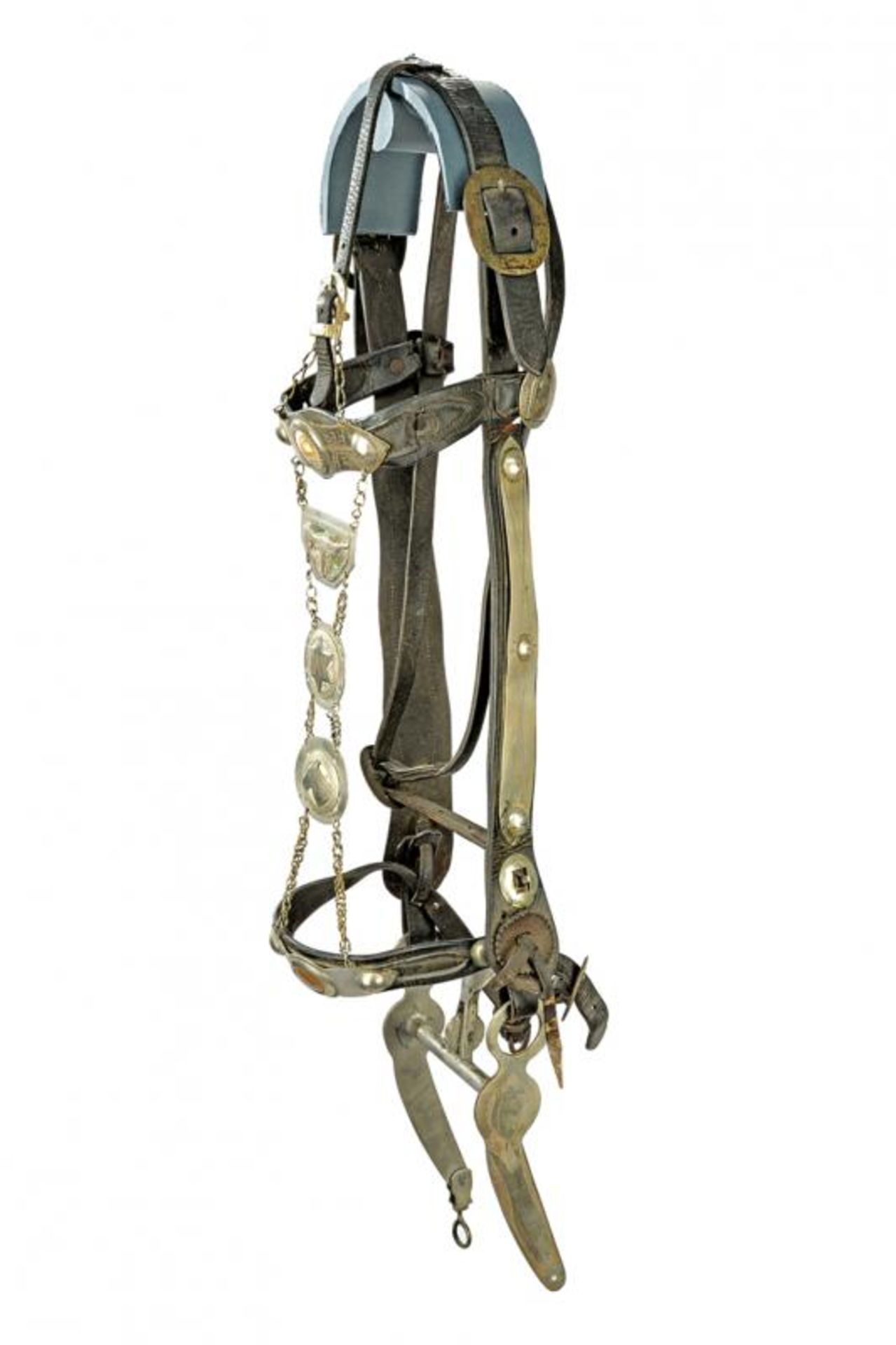 A bridle with bit