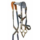A horse bit with bridle