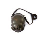 A II WW horse gas mask