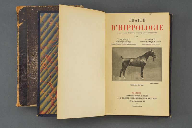 A lot of two books about horses - Image 3 of 3