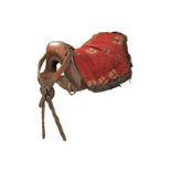 An interesting saddle with bridle