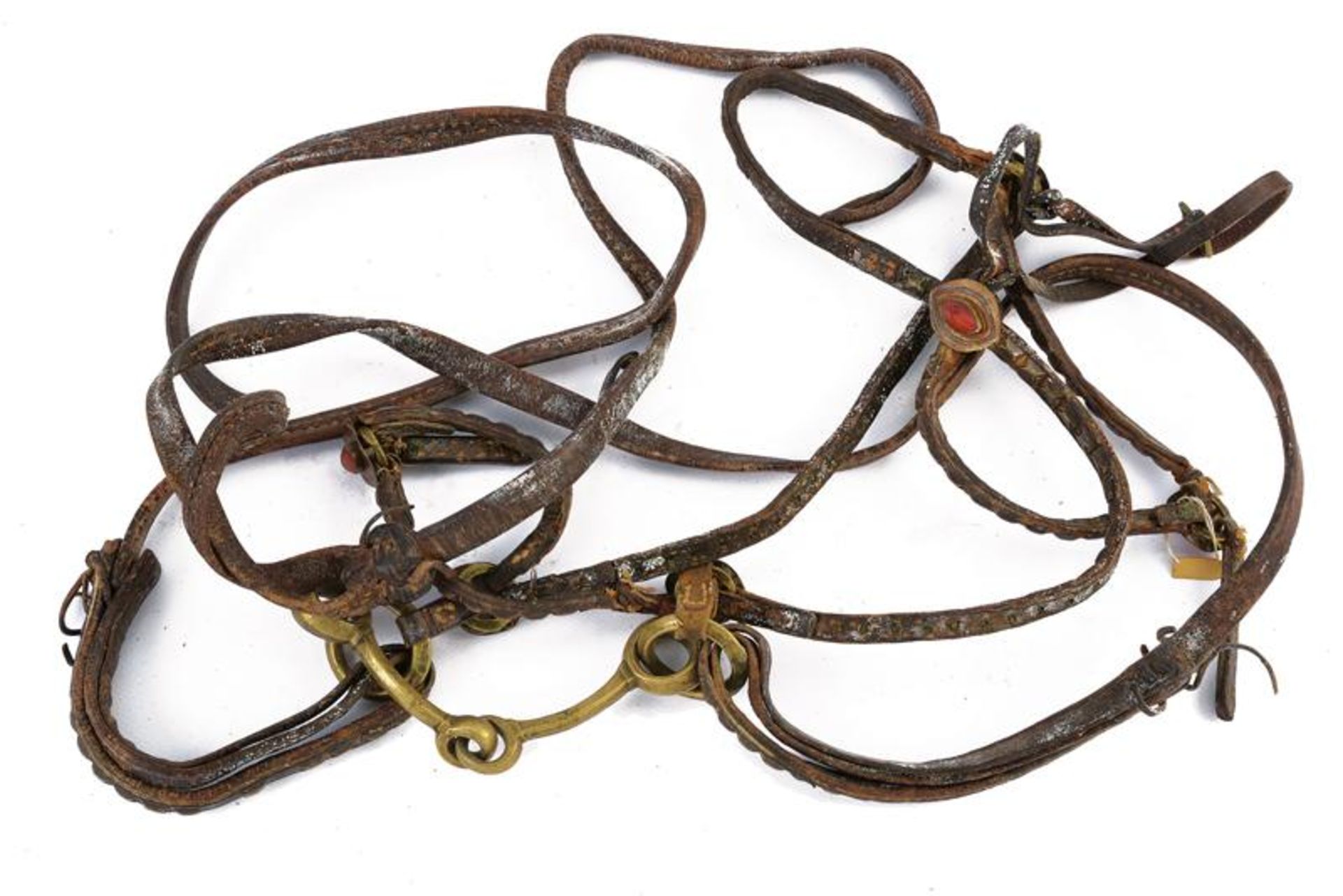 A snaffle bit with bridle