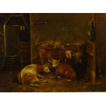 Cattle in a Stable, 19th century oil on wood panel unsigned 41ccm x 54.