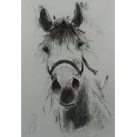 Portrait of a Horse's Head, 20th century monochrome print indistinctly signed 53.