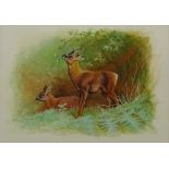 Deer in Woodland, watercolour signed by Gordon C Turton (British b.1947), 24.5cm x 34.