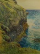 Coastal Cliff Tops, watercolour signed and dated '93 by Frederick William Sturge (British fl.