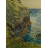 Coastal Cliff Tops, watercolour signed and dated '93 by Frederick William Sturge (British fl.