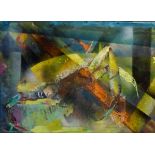 'Crab Underwater' and Fishing Boats,