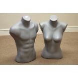 Male and female torso mannequins,