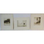 Collection of unframed etchings including 'Poppy Sleeps' and two others after Cecil Hodgson and